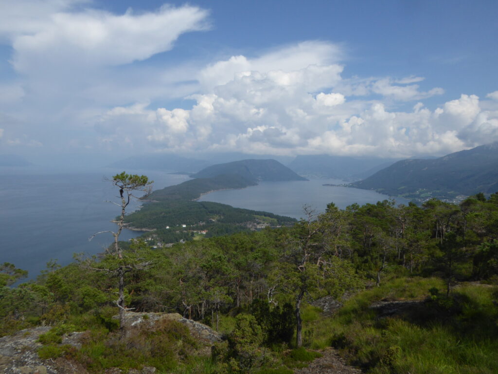 Hardangerfjord